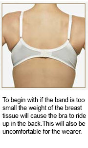 Online DIY Bra Fitting.