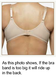 Are you wearing the wrong bra size?