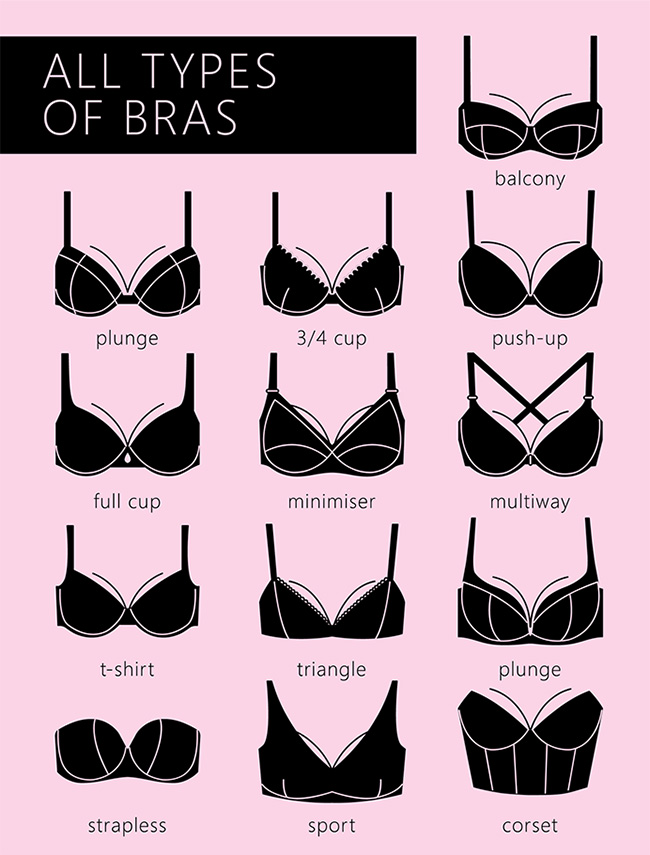 Different Bra Types with Various Components