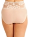 Light and Lacy Brief in Rose Dust, Back View