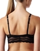 b.tempt'd Lace Kiss Bralette, Back View in Night